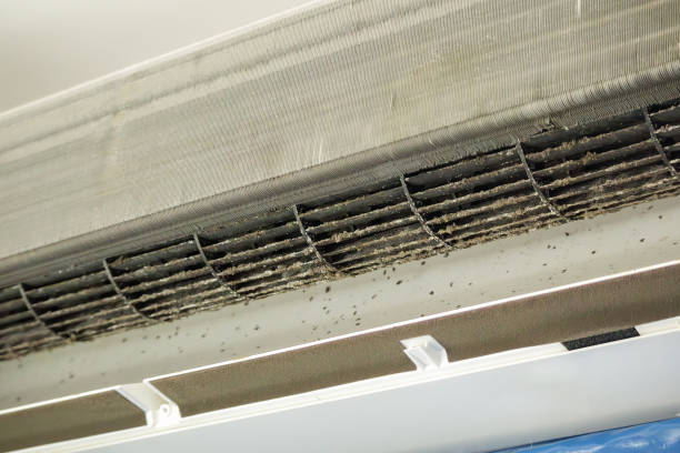 Best Home Air Vent Cleaning  in Bowie, MD